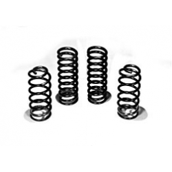 1965-66 COIL SPRINGS - COUPE 2+2